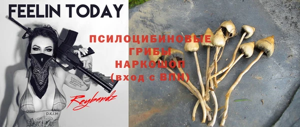 дмт Балабаново